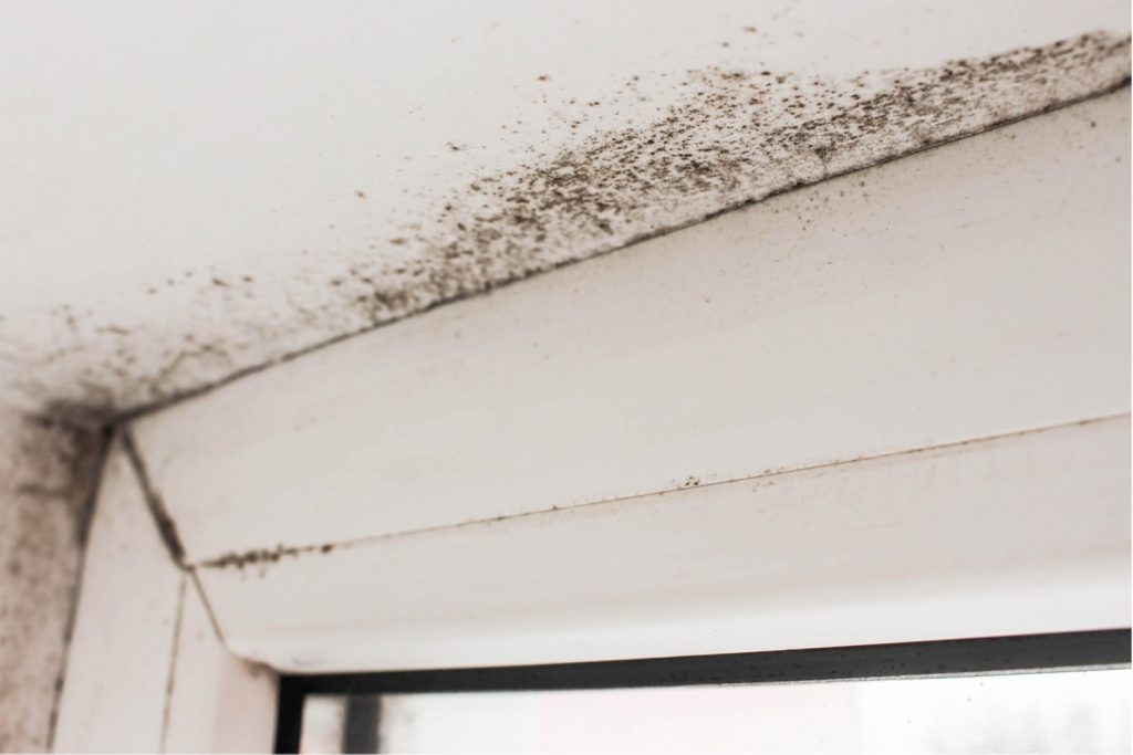 mold caused from improperly sealed window